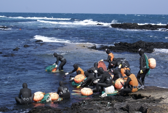 The Extraordinary Science Behind Korea’s Haenyeo Divers: Genetics, Grit, and Cold-Water Mastery