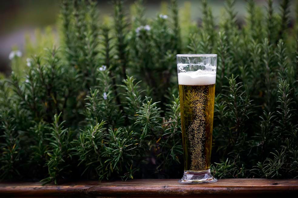 Does Non-Alcoholic Beer Make You Gain Weight? Here’s the Real Story